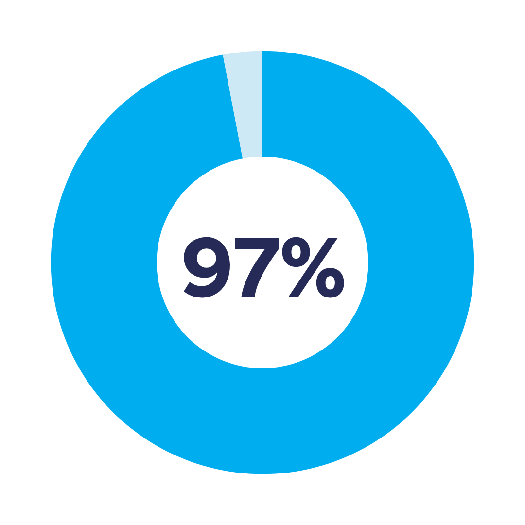 97% pie chart